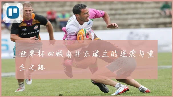 世界杯回顾南非东道主的逆袭与重生之路