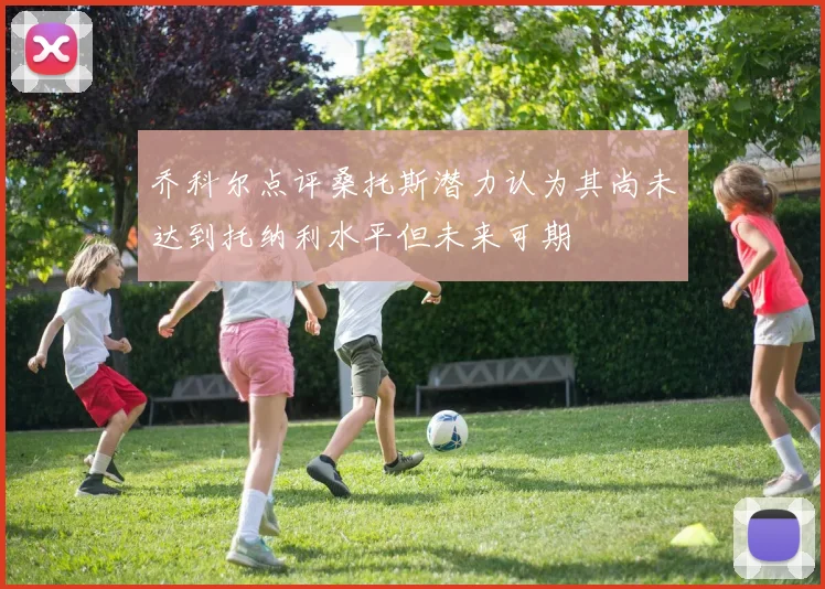 乔科尔点评桑托斯潜力认为其尚未达到托纳利水平但未来可期