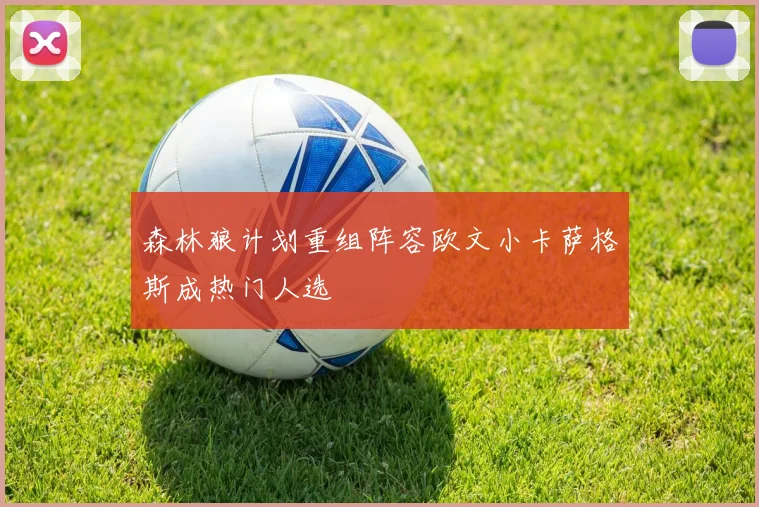 森林狼计划重组阵容欧文小卡萨格斯成热门人选